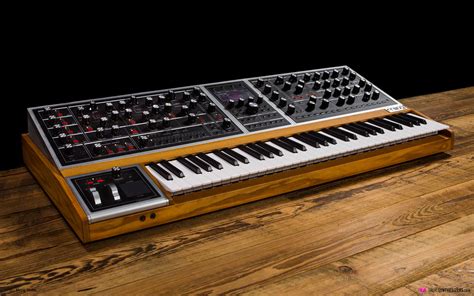 moog in english|The Moog .
